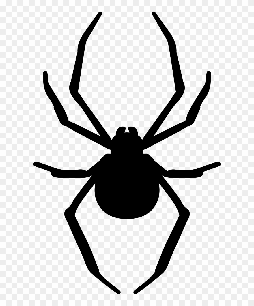 880x1061 Spider Clipart Arthropod