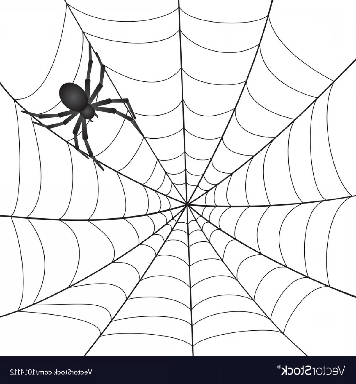 1200x1296 A Spiderweb With Spider Vector Soidergi