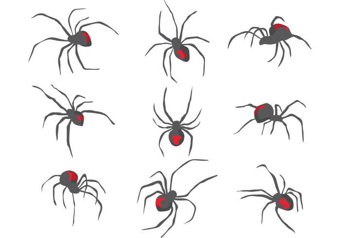 700x490 Spider Free Vector Art