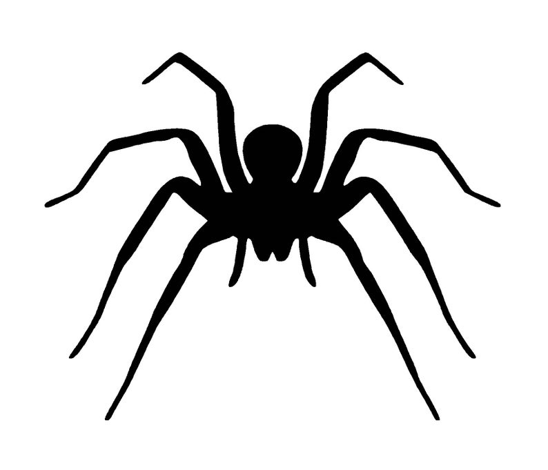 794x681 Spider Digital Download Spider Graphic Digital Etsy