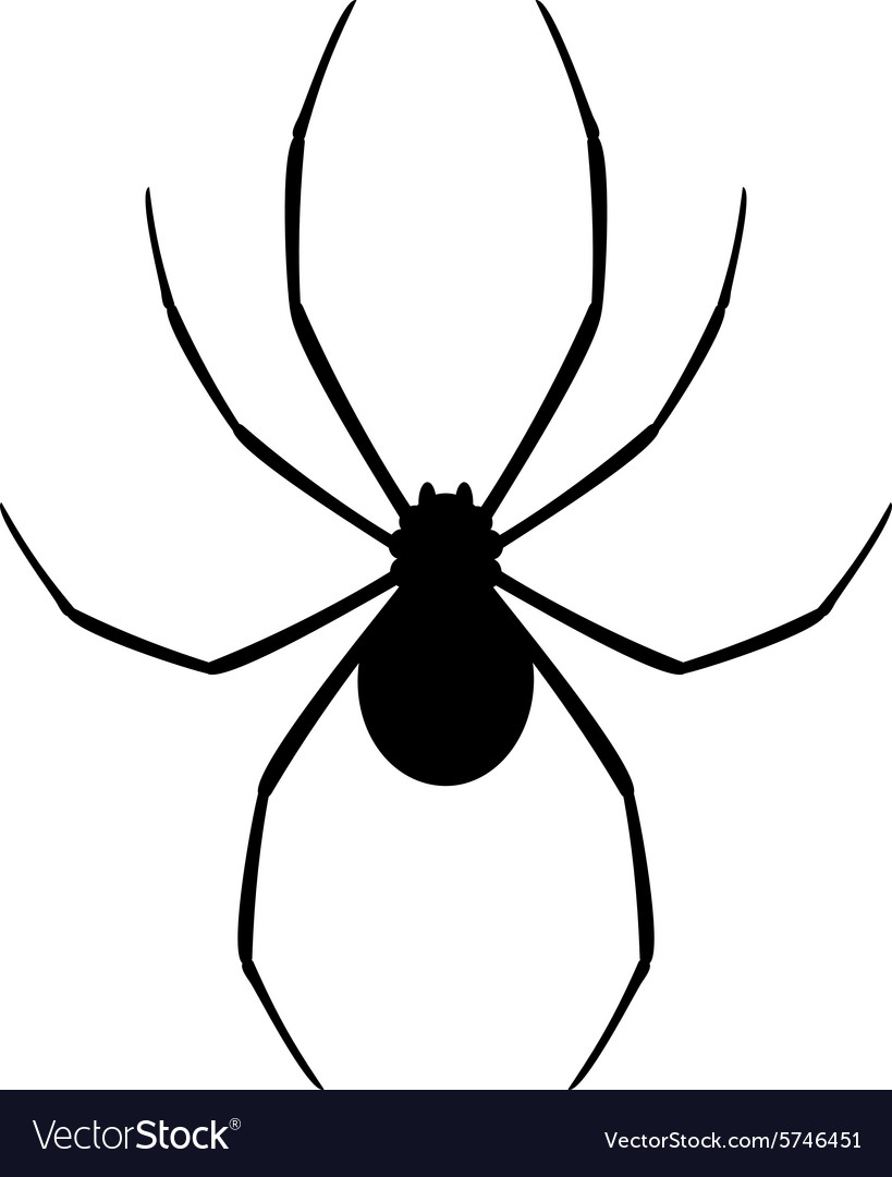 819x1080 Spider Vector