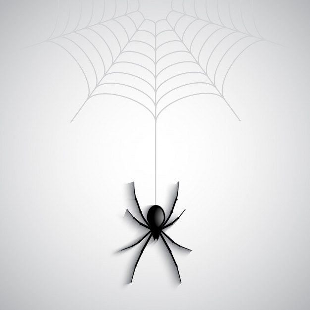 626x626 Spider Vectors, Photos And Free Download