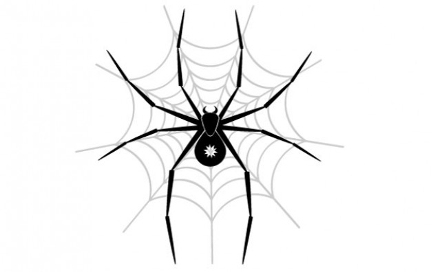 626x396 Spider Vector Image Vector Free Download