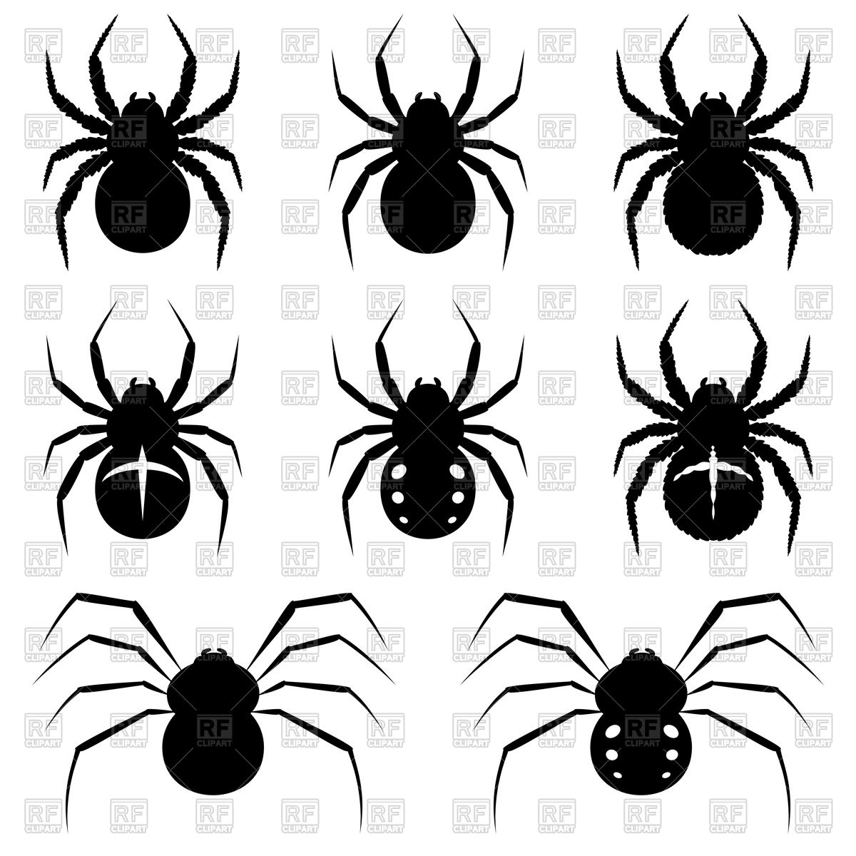 1200x1200 Spiders Vector Image Of Plants And Animals Silanti