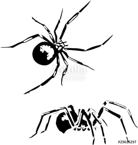 476x500 Spiders Vector Stock Image And Royalty Free Vector