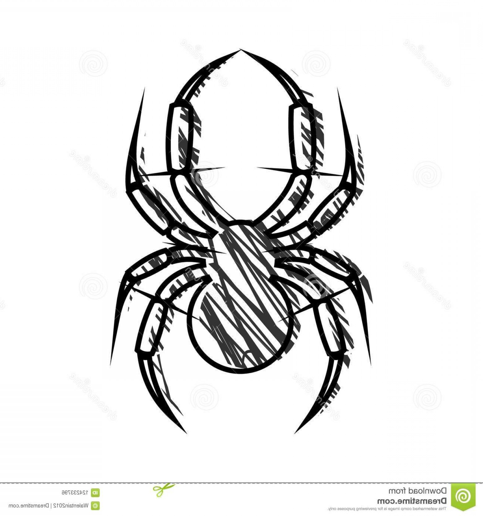 1560x1668 Graphic Vector Illustration Insect Black White Hand Draw Drawn