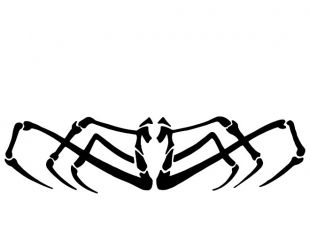 310x233 Heart Spider Vector Art Free Vectors Ui Download