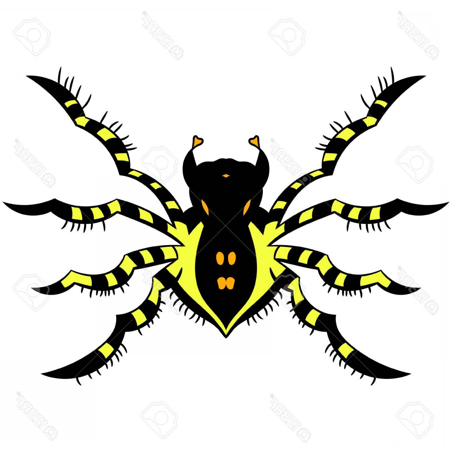 1560x1560 Photostock Vector Yellow Striped Spider Vector Illustration
