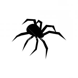 300x300 Black Spider Vector Silhouette Black Widow Isolated On White