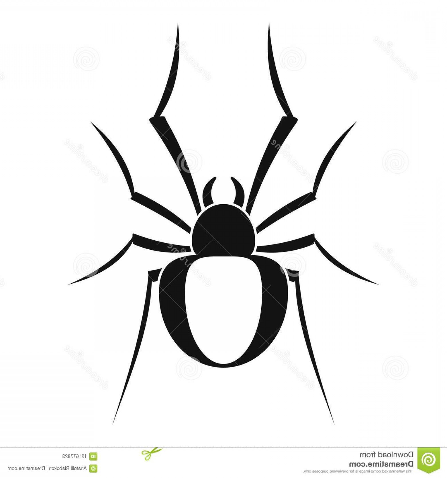 1560x1668 Simple Spider Vector Graphics Studiogrfx