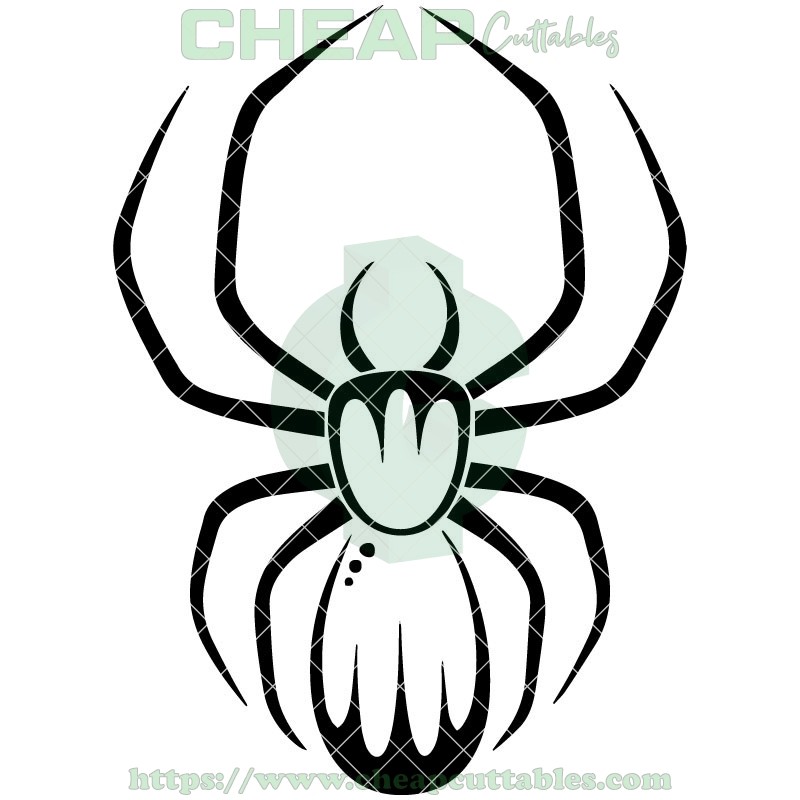 800x800 Spider Vector Design