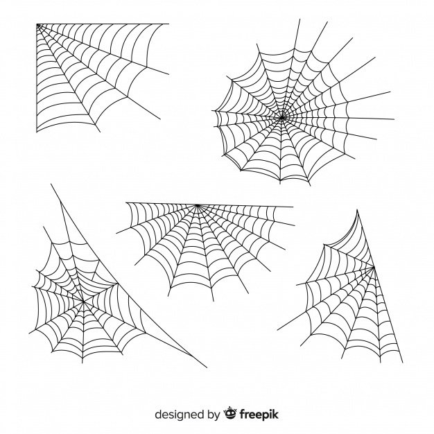 626x626 Spider Vectors, Photos And Free Download