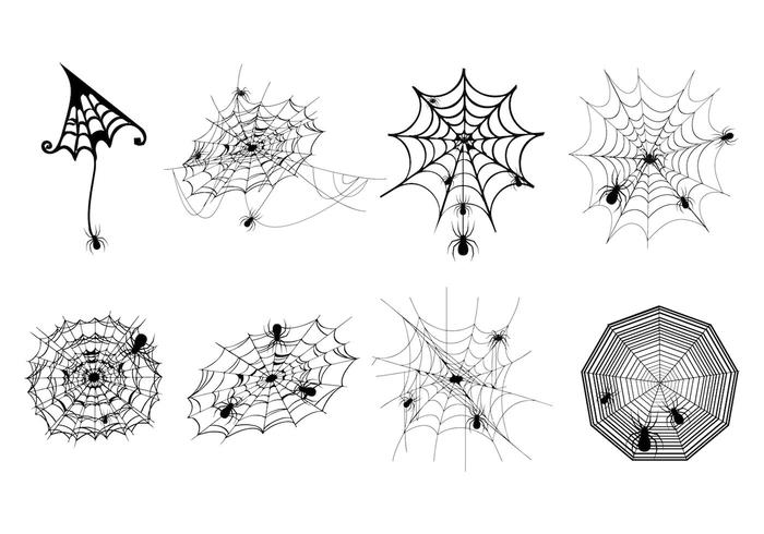 700x490 Spider Web Vector