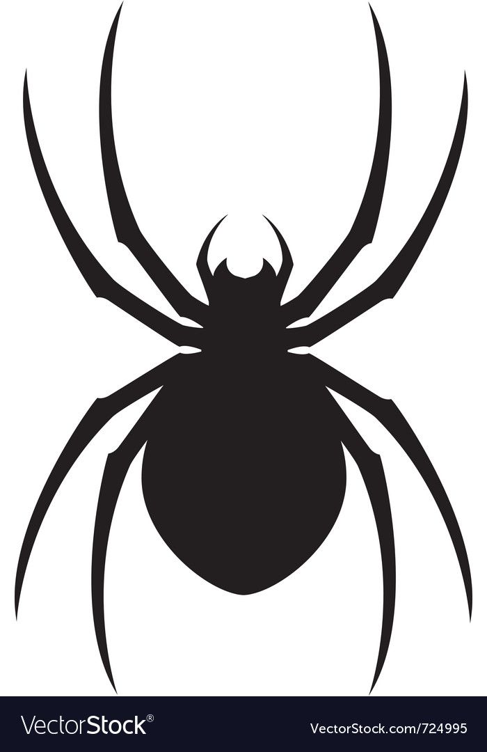 700x1080 Spider Design Royalty Free Vector Image