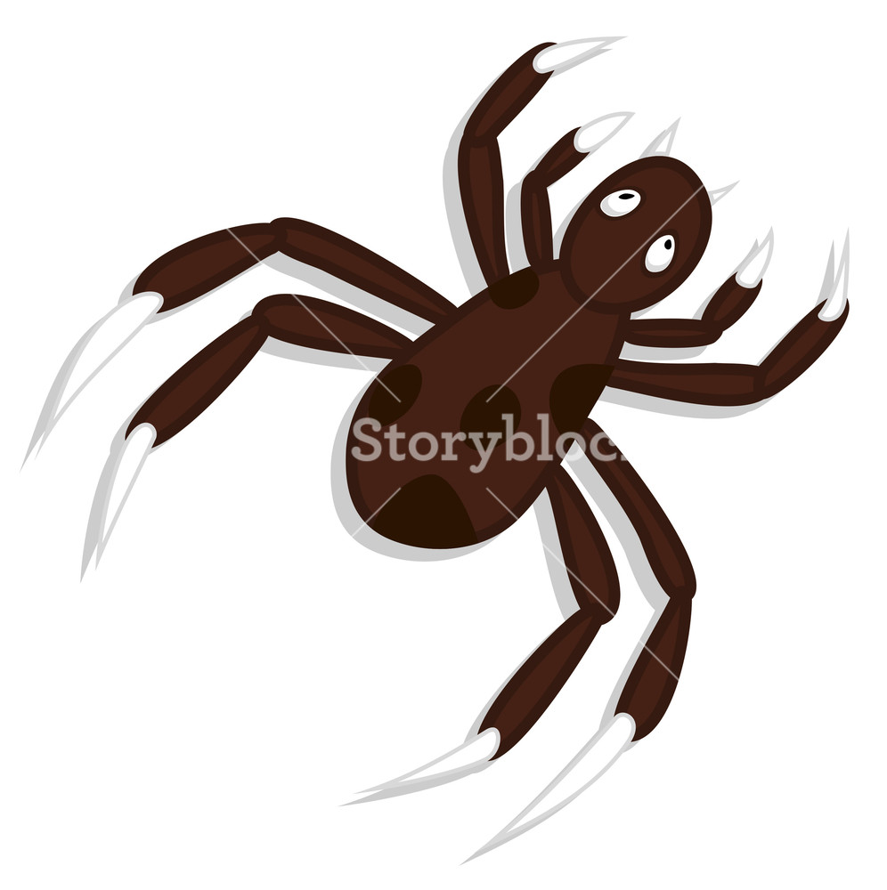 996x1000 Creepy Spider Vector Art Royalty Free Stock Image