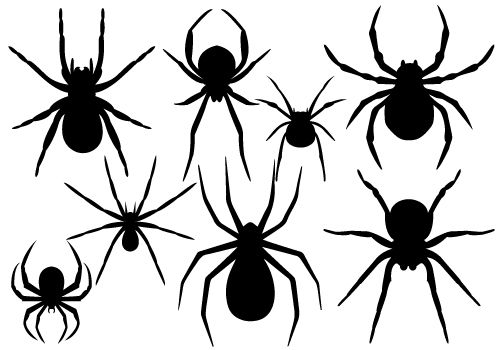 500x350 Halloween Spider Vector Graphicssilhouette Clip Art Halloween