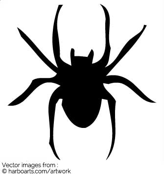 335x355 Download Spider