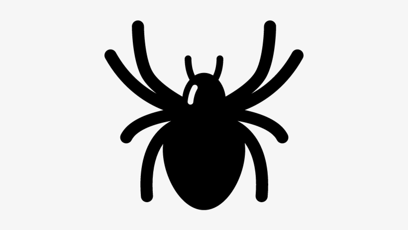 Halloween Spider Vector 820x463 Halloween Spider Vector