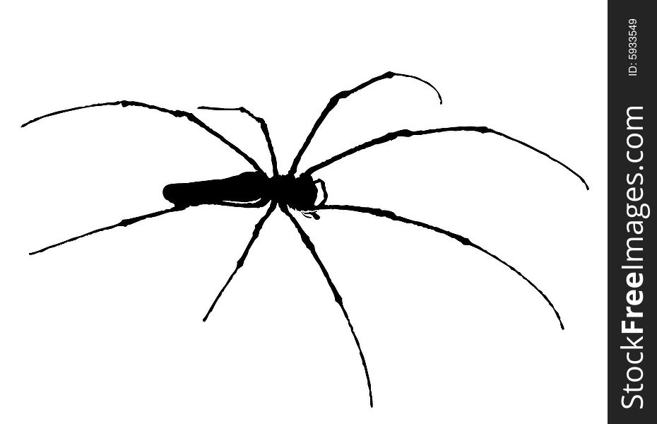 Indonesia Spider Vector 930x600 Indonesia Spider Vector