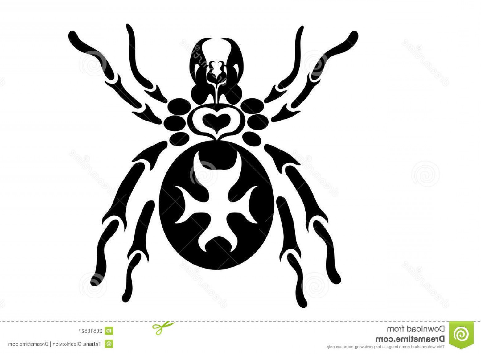 Royalty Free Stock Photography Tribal Spider Tattoo Design Image 1560x1148 Royalty Free Stock Photography Tribal Spider Tattoo Design Image