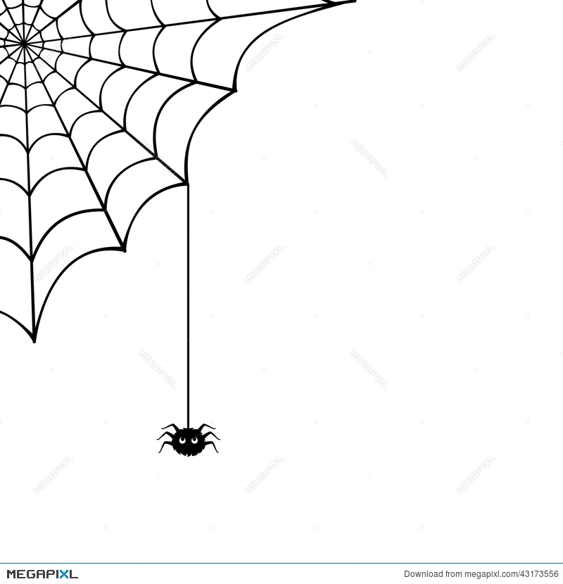 Spider Web And Spider Vector Illustration Illustration 800x830 Spider Web And Spider Vector Illustration Illustration