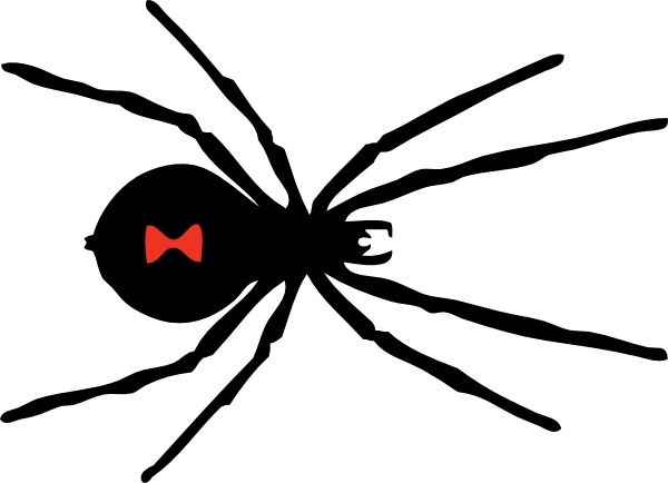 Spider Clipart Vector For Free Download And Use Images 600x434 Spider Clipart Vector For Free Download And Use Images
