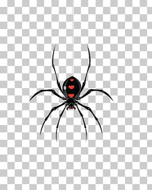 Spiders Vector Png Images, Spiders Vector Clipart Free Download 310x386 Spiders Vector Png Images, Spiders Vector Clipart Free Download