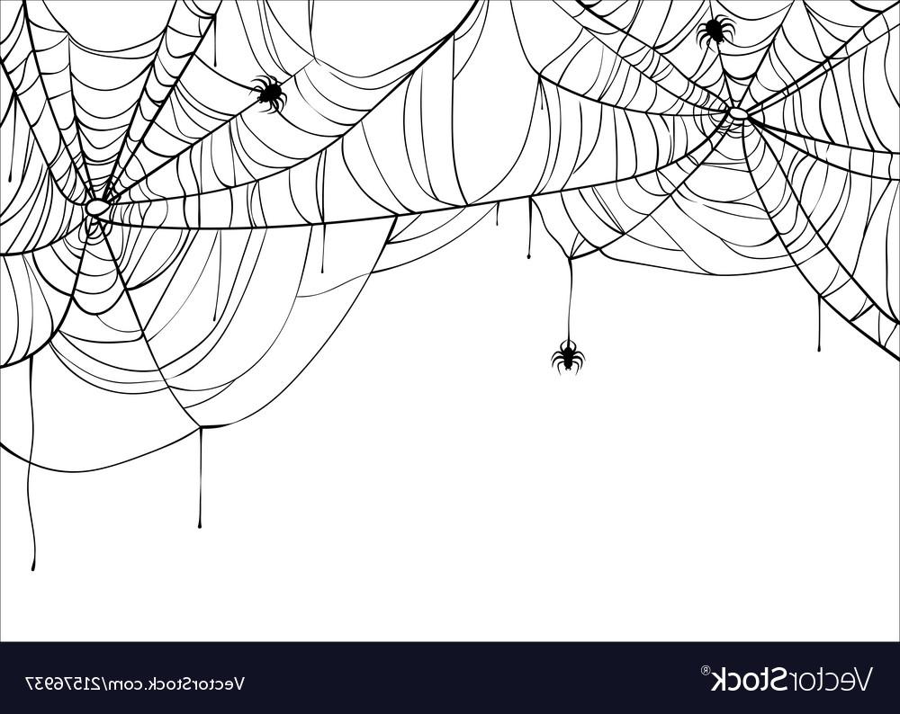 Unique Vector Halloween Spider Vector Photos Vector Images Design 1000x794 Unique Vector Halloween Spider Vector Photos Vector Images Design