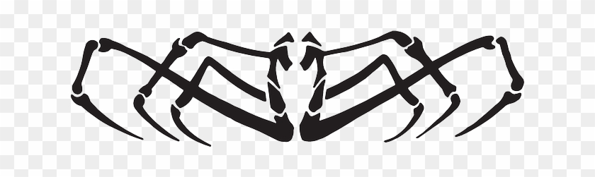 View Spider Body Side Art Legs Arachnid Head Deer Wild 840x251 View Spider Body Side Art Legs Arachnid Head Deer Wild