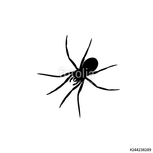 Black Spider Vector Stock Image And Royalty Free Vector 500x500 Black Spider Vector Stock Image And Royalty Free Vector
