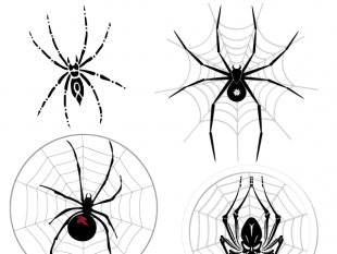 Free Spider Vector Image Free Vectors Ui Download 310x233 Free Spider Vector Image Free Vectors Ui Download