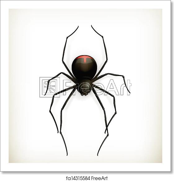 Free Art Print Of Spider, Vector Freeart 561x581 Free Art Print Of Spider, Vector Freeart