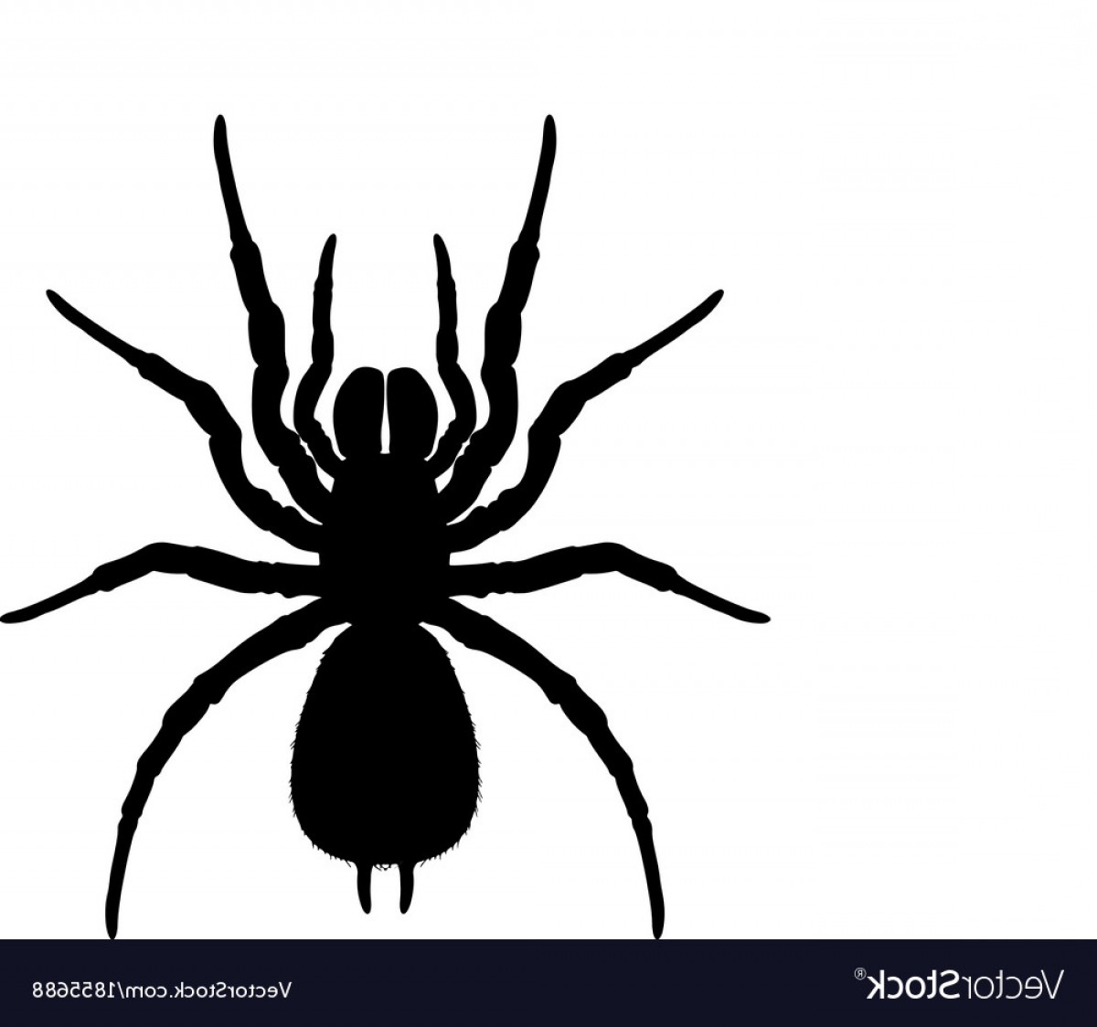 Silhouette Of A Spider Vector Soidergi 1200x1124 Silhouette Of A Spider Vector Soidergi