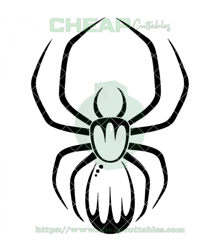 Spider Vector Design 700x800 Spider Vector Design