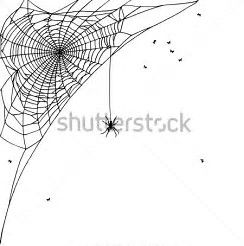 244x246 Image Result For Corner Spider Web Horror Clipart And Cards