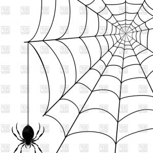 300x300 Spider And Spider Web On White Background Vector Clipart Soidergi