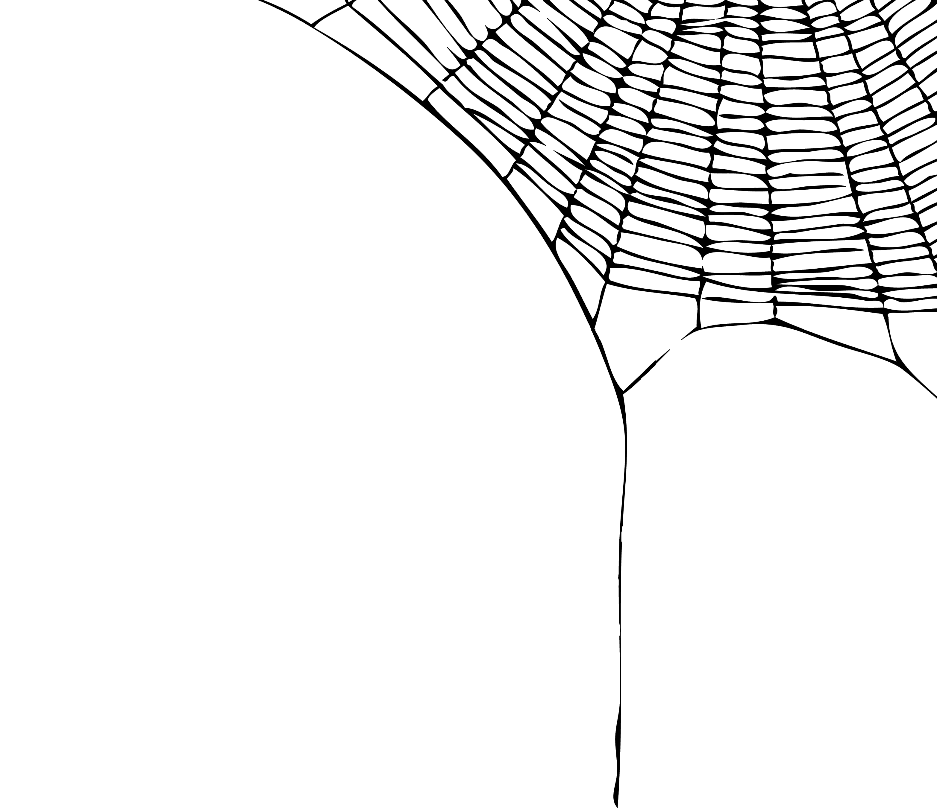 3130x2701 Spider Web Border Free Spider Web Clipart
