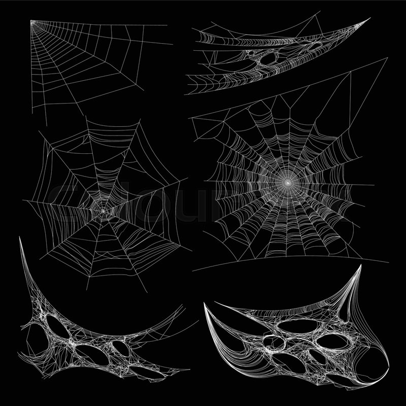 800x800 Spiderweb Or Spider Web And Cobweb On Stock Vector Colourbox