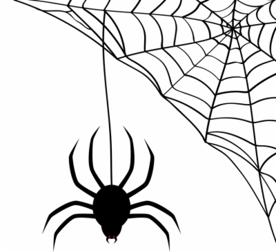 Result For Spider Web Vector Png 400x366 Result For Spider Web Vector Png