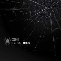 Spider Web Free Vector Art 200x200 Spider Web Free Vector Art