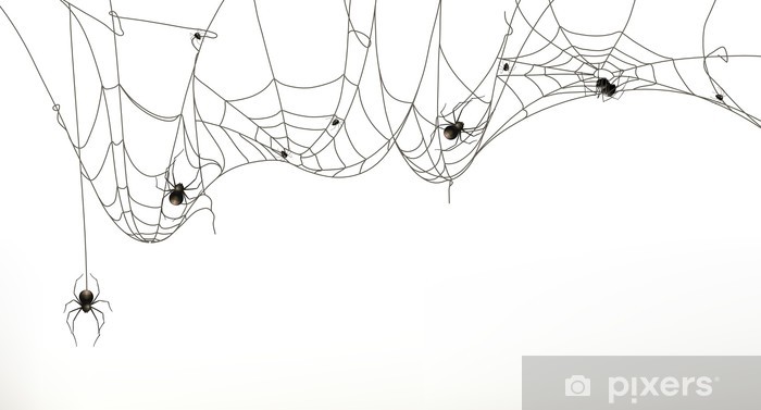 Spiders And Spider Web, Vector Set Wall Mural 700x377 Spiders And Spider Web, Vector Set Wall Mural