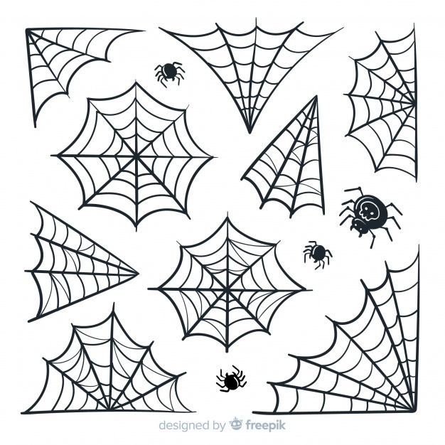 Spiderweb Vectors, Photos And Free Download 626x626 Spiderweb Vectors, Photos And Free Download