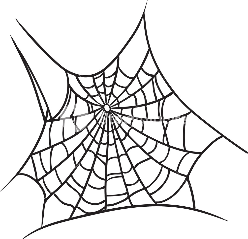 Vector Spiderweb Royalty Free Stock Image 1000x967 Vector Spiderweb Royalty Free Stock Image