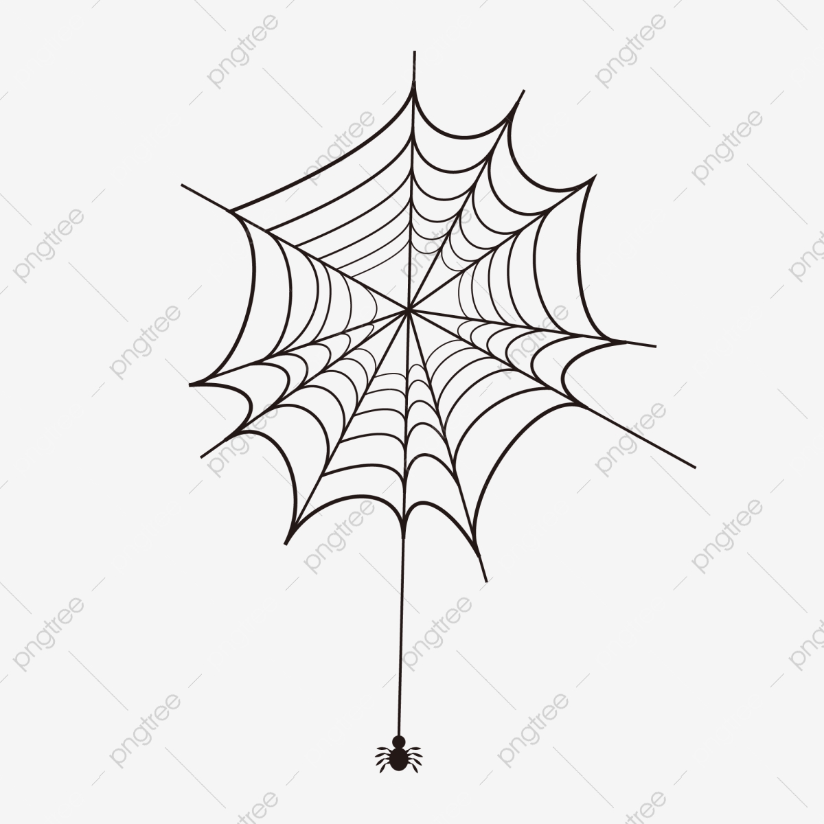White Spider Web Vector, Network, Spider Web, Background Png 1200x1200 White Spider Web Vector, Network, Spider Web, Background Png