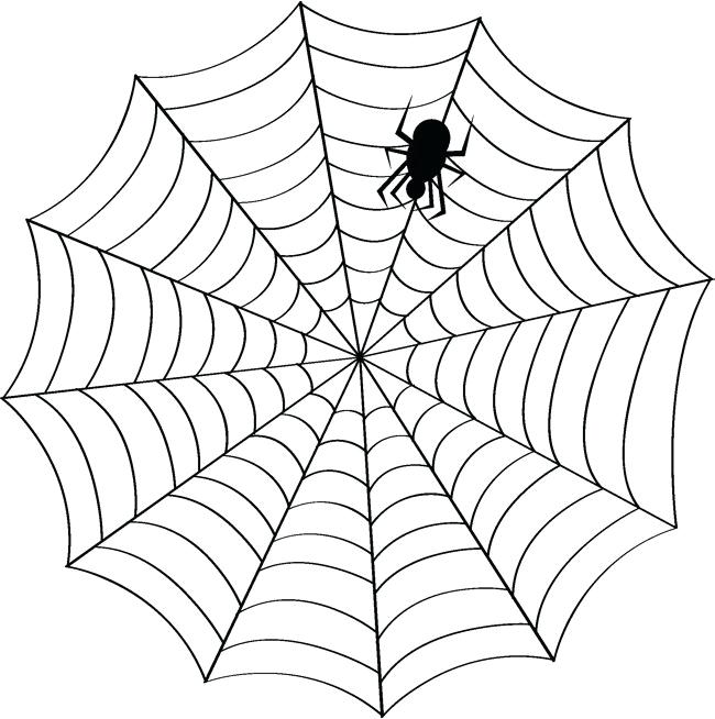 Simple Spider Web Drawing 650x654 Simple Spider Web Drawing