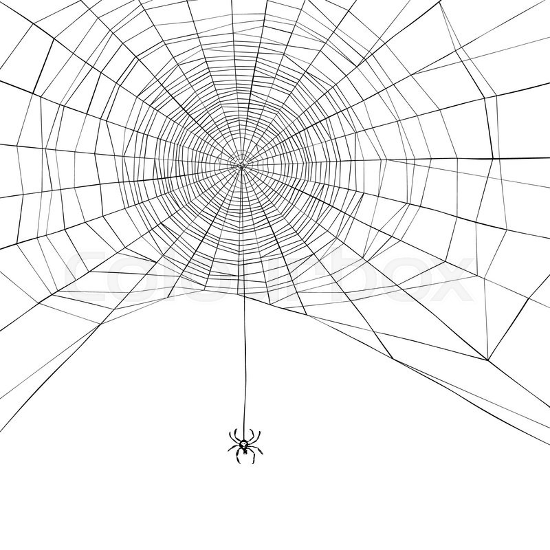 Halloween Background Spider Web Stock Vector Colourbox 800x800 Halloween Background Spider Web Stock Vector Colourbox
