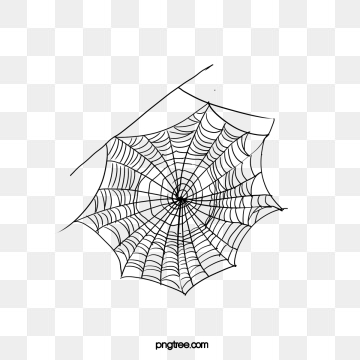Spider Web Png, Vector, And Clipart With Transparent 360x360 Spider Web Png, Vector, And Clipart With Transparent