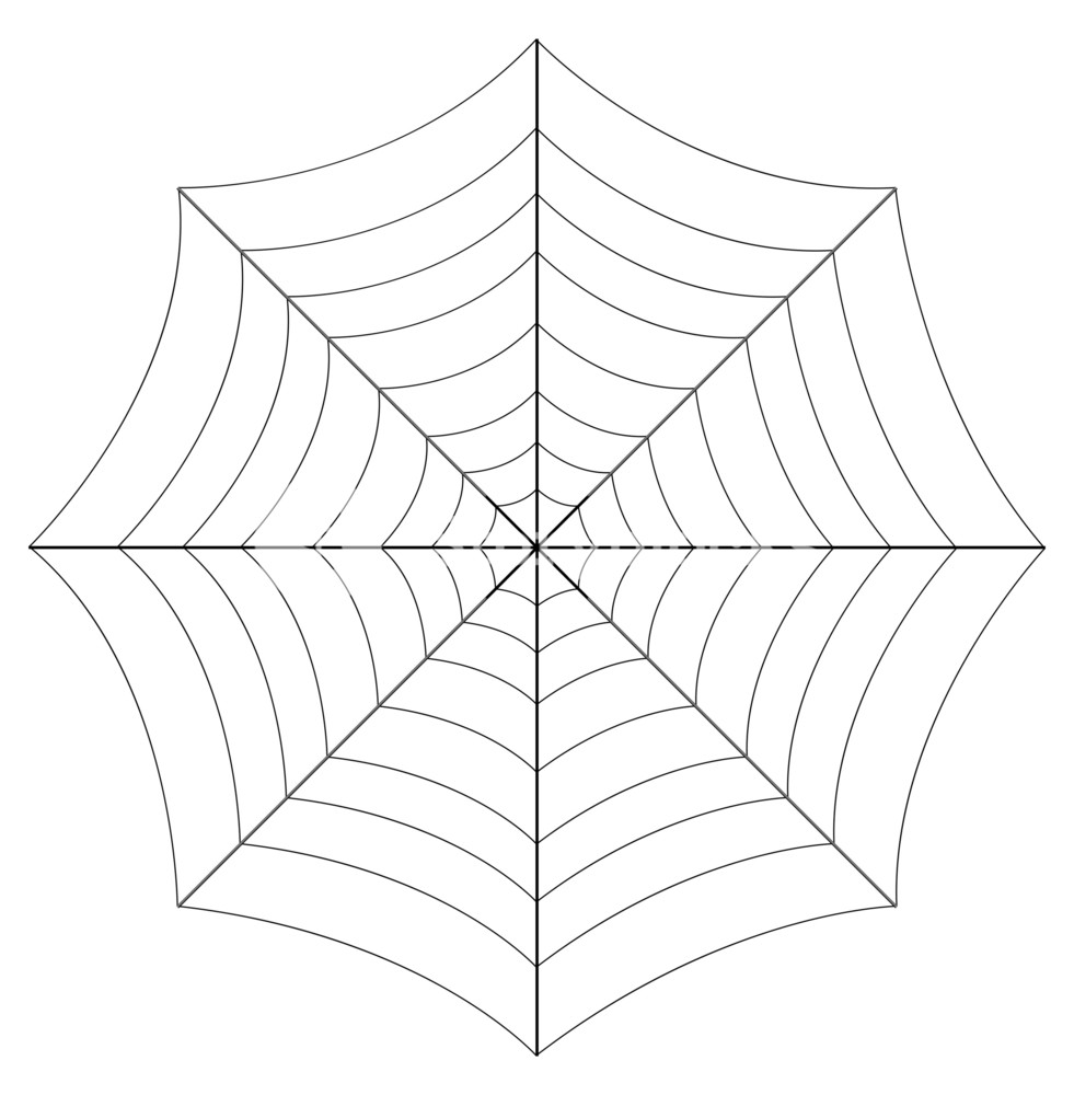 Spider Web Vector Art Design Royalty Free Stock Image 981x1000 Spider Web Vector Art Design Royalty Free Stock Image
