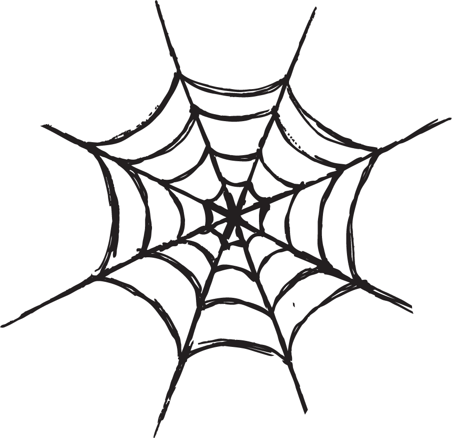 Spider Web Vector Png 904x875 Spider Web Vector Png