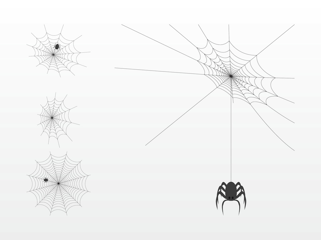 Spider Webs Vector Art Graphics 1024x765 Spider Webs Vector Art Graphics